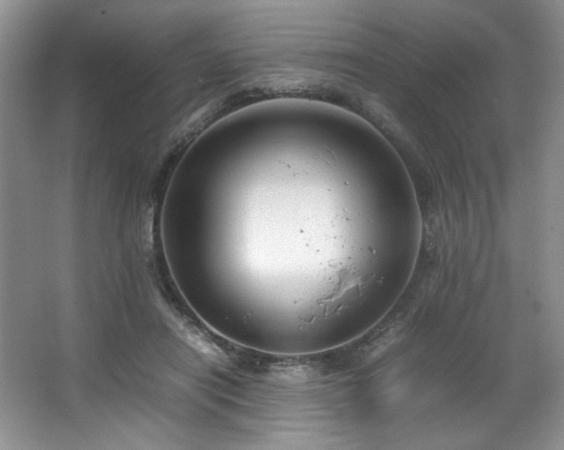 X0000066940454200603241146