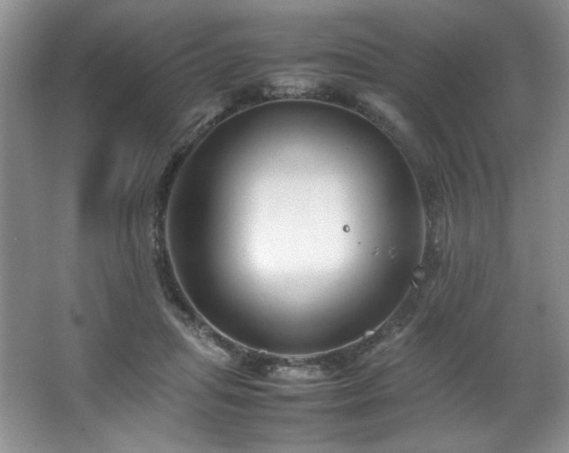 X0000066940455200603241146