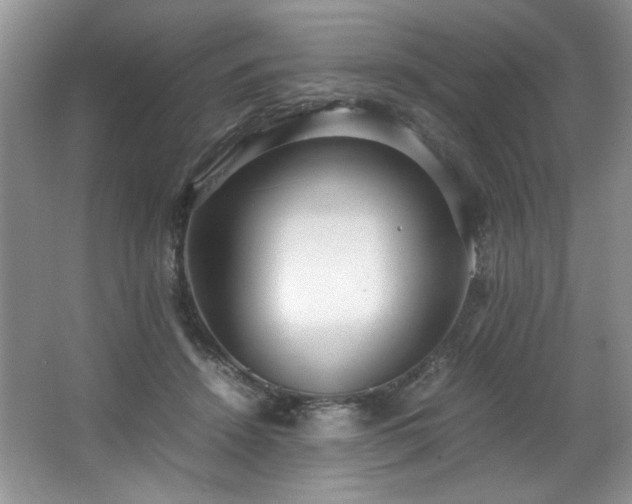 X0000066940456200603241146