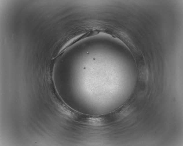 X0000066940457200603241146