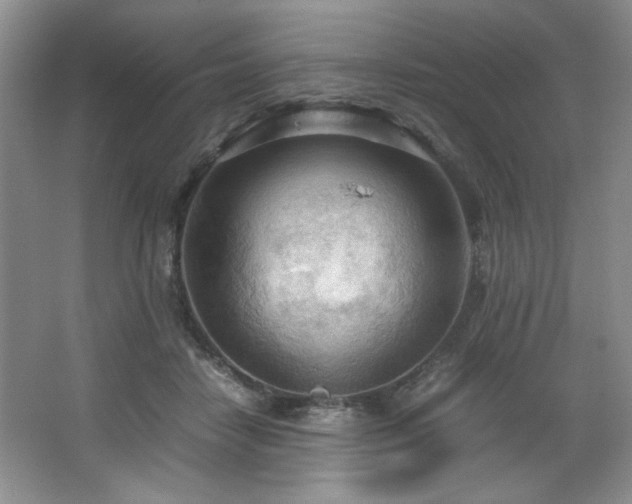 X0000066940458200603241146