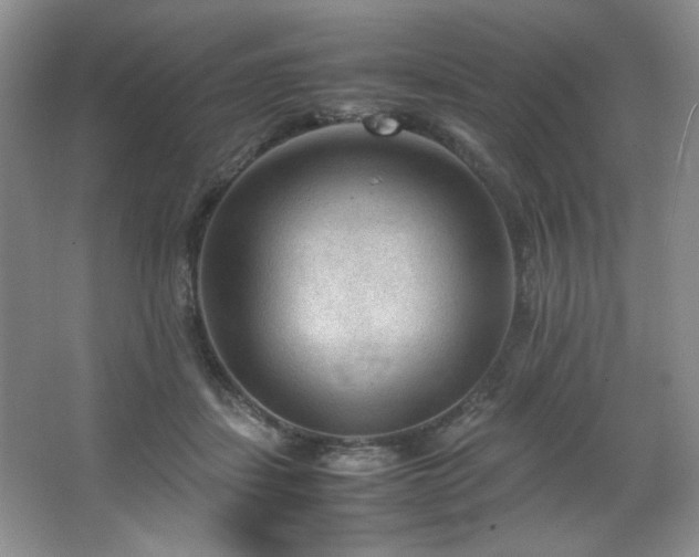 X0000066940459200603241146