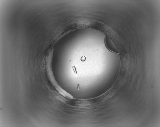 X0000066940463200603241146