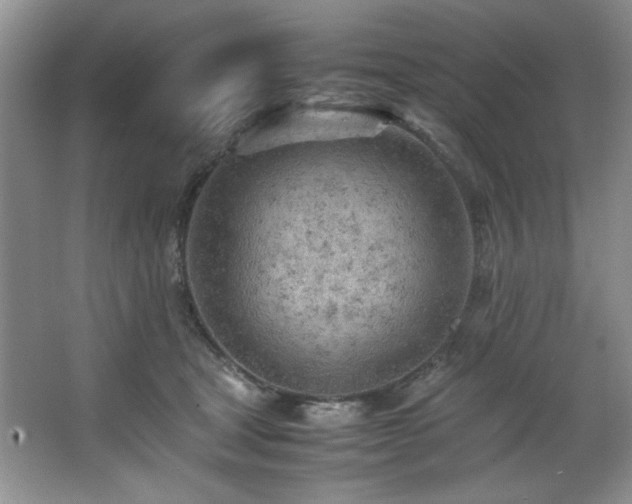 X0000066940465200603241146