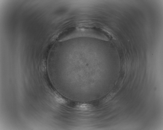 X0000066940467200603241146