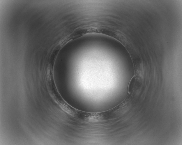 X0000066940468200603241147