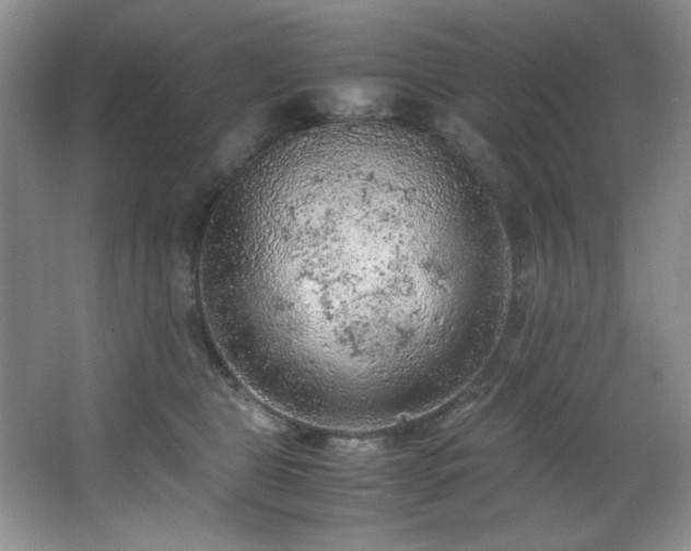 X0000066940469200603241147