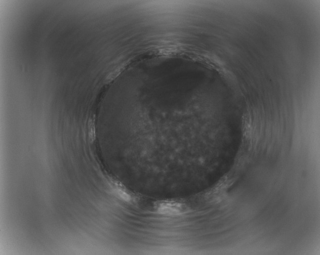 X0000066940471200603241147