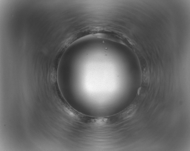 X0000066940474200603241147