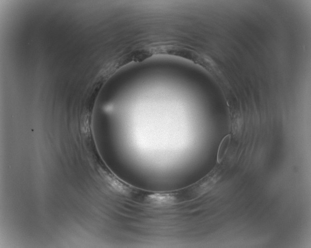 X0000066940477200603241147