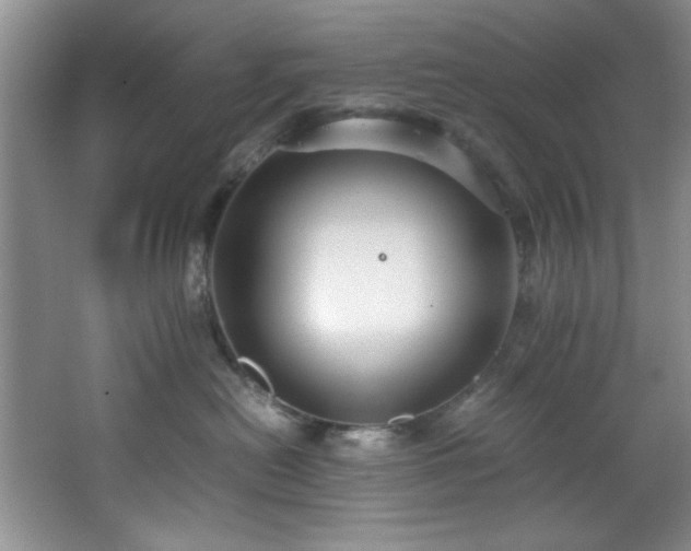 X0000066940478200603241147