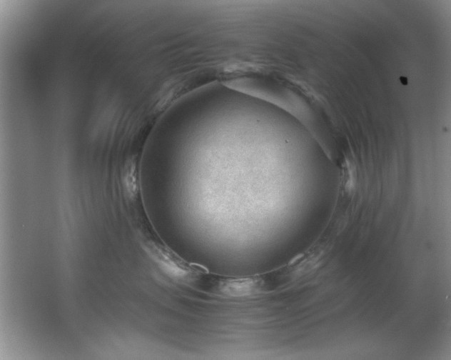 X0000066940479200603241147