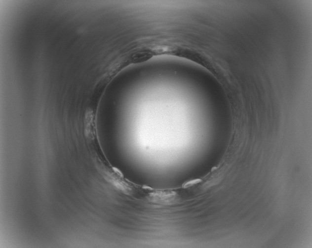 X0000066940480200603241147