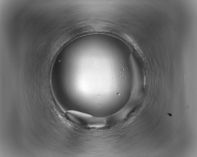 X0000066940481200603241146