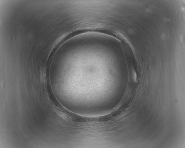 X0000066940483200603241146