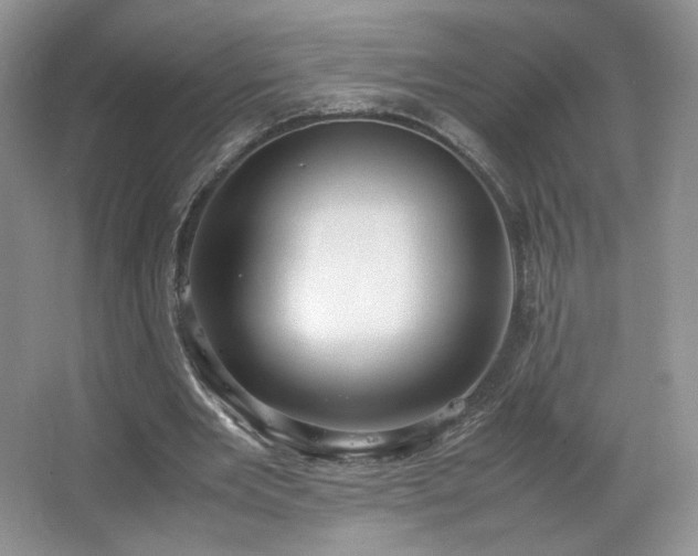 X0000066940485200603241146