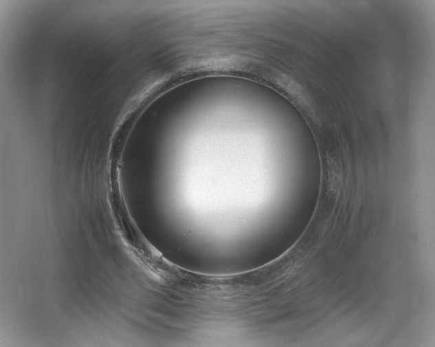 X0000066940486200603241146