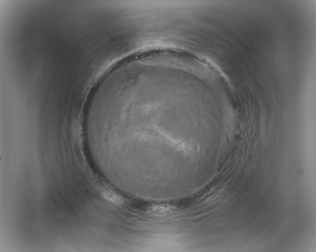 X0000066940487200603241146