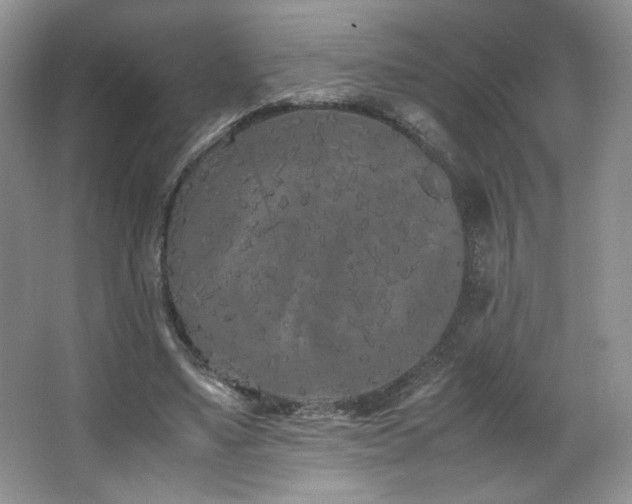 X0000066940491200603241146