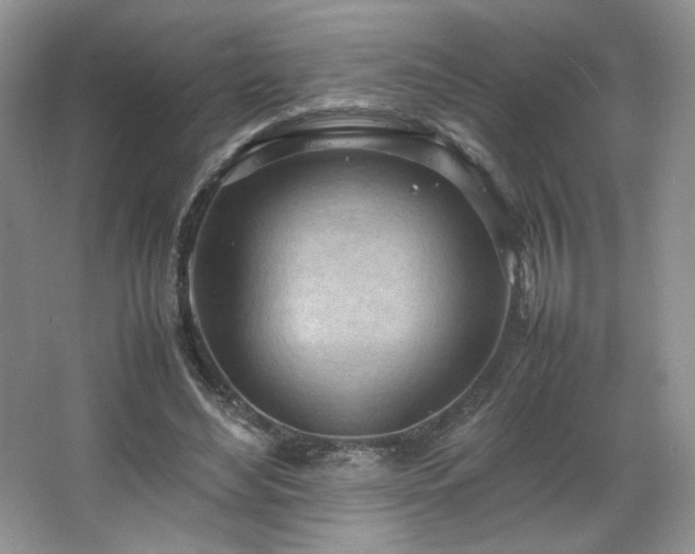 X0000066940492200603241146