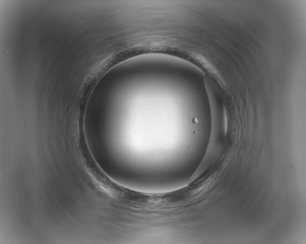 X0000066940493200603241146