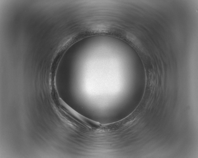 X0000066940494200603241146