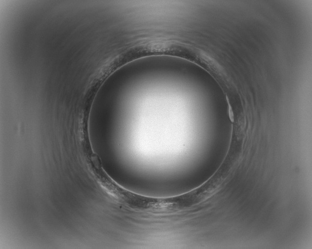 X0000066940497200603241146