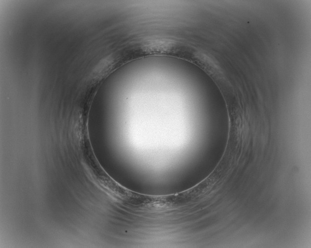 X0000066940498200603241146