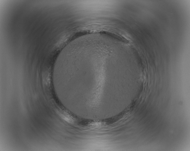 X0000066940499200603241146