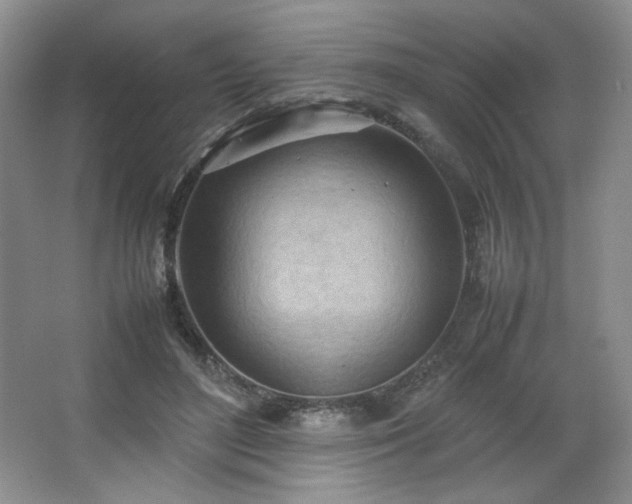 X0000066940500200603241146