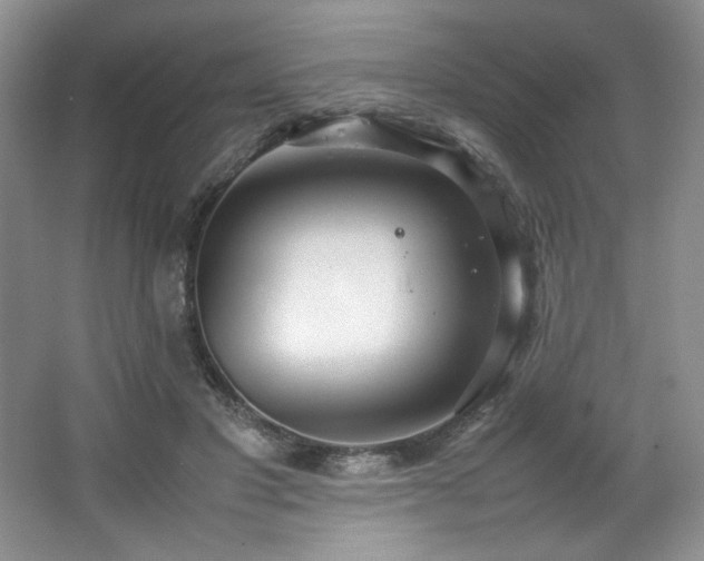 X0000066940501200603241146