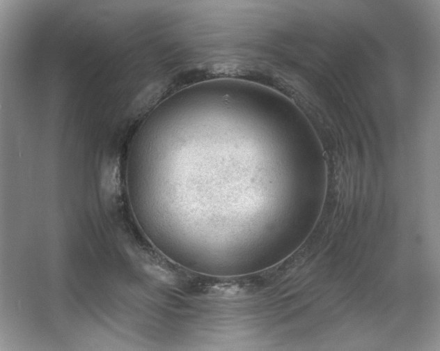 X0000066940502200603241146