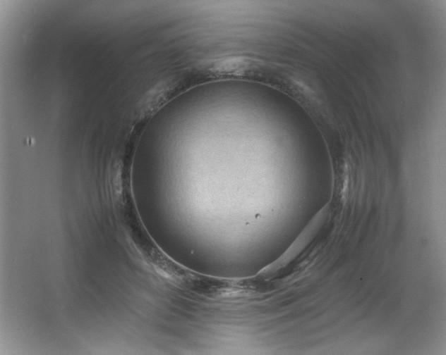 X0000066940504200603241146