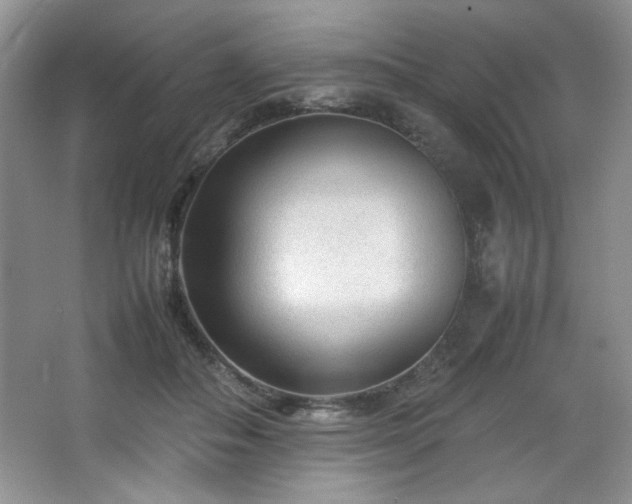 X0000066940506200603241145