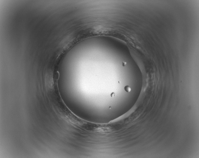 X0000066940508200603241145