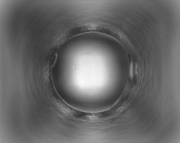 X0000066940509200603241145