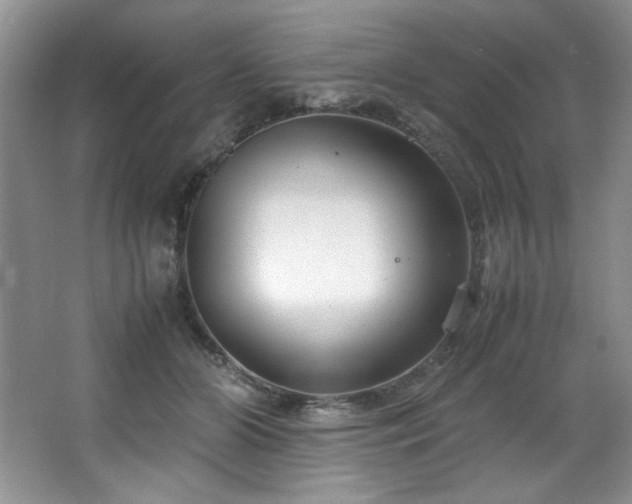 X0000066940510200603241145