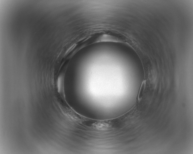 X0000066940512200603241145