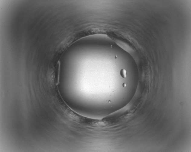 X0000066940513200603241145