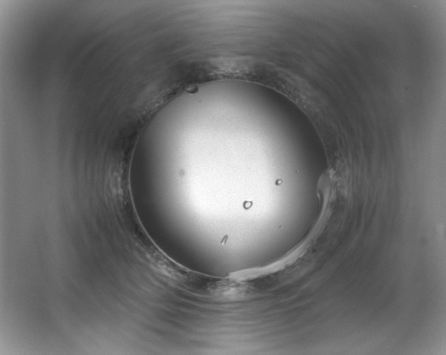 X0000066940514200603241145