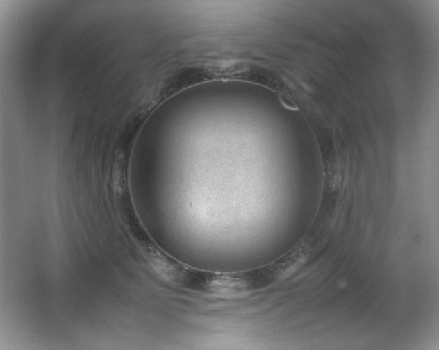 X0000066940515200603241145