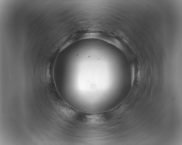 X0000066940516200603241145