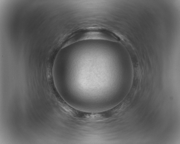 X0000066940517200603241145