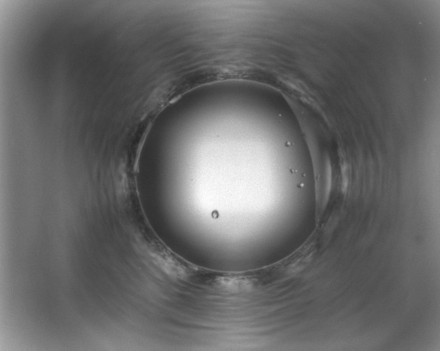 X0000066940520200603241145