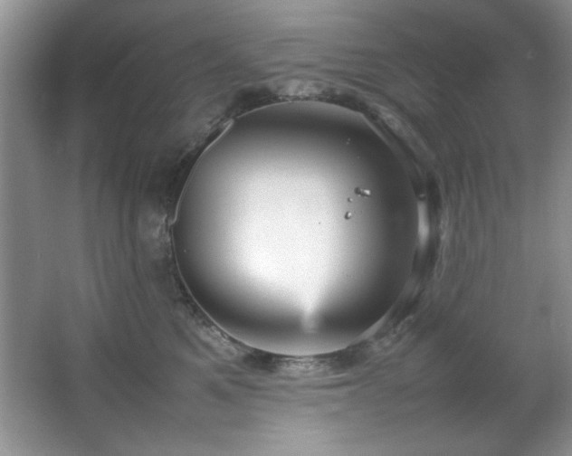 X0000066940521200603241145