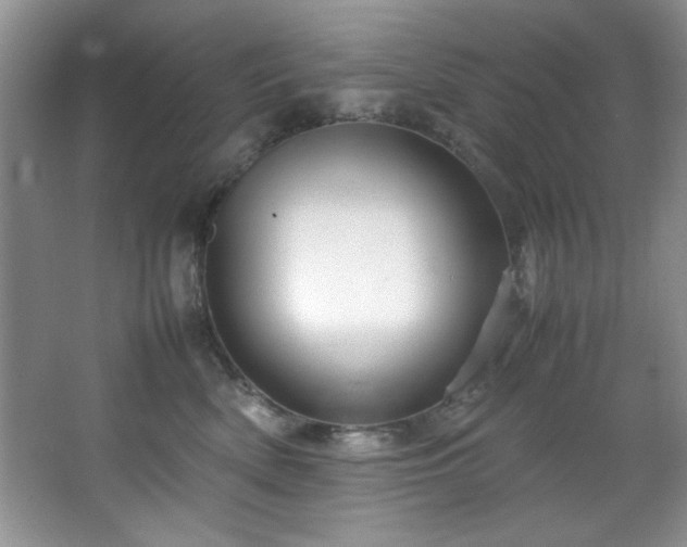 X0000066940522200603241145