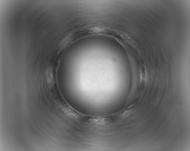 X0000066940524200603241145