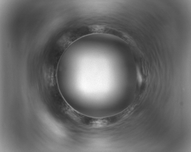 X0000066940525200603241145