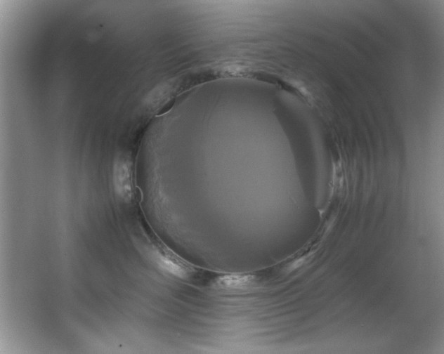 X0000066940526200603241145