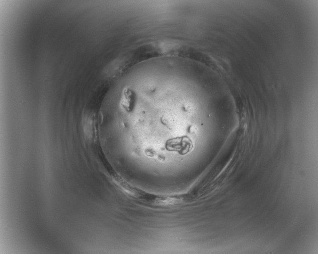 X0000066940527200603241145